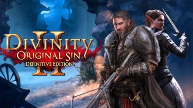 اللاعبين-يعودون-إلى-divinity:-original-sin-2-على-ستيم-بعد-إعلان-الجزء-الجديد-–-العاب-–-يلا-لايف