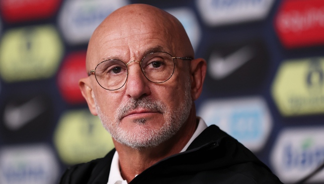 مدرب-إسبانيا-يكشف-عن-موقف-فيران-من-مباراة-تركيا-–-الدوري-الاسباني