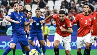 منتخب-مصر-يوضح-حقيقة-استبعاد-محمد-شريف-بعد-انفعاله-على-طولان-–-الدوري-المصري
