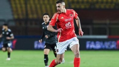 نادٍ-روسي-يطلب-جراديشار-من-الأهلي.-وعقبة-وحيدة-تُعرقل-الصفقة-–-الدوري-المصري