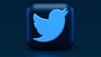  تويتر-يحظر-تطبيق-tweetbot-وتطبيقات-الطرف-الثالث-الشائعة-الأخرى-–-يلا-لايف