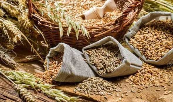 تراجع-أسعار-القمح-مع-تجديد-اتفاق-تصدير-الحبوب-الأوكرانية-–-يلا-لايف
