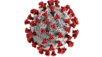 اليابان-تخفض-تصنيف-فيروس-كورونا-إلى-فئة-الأمراض-الأقل-خطورة-–-يلا-لايف