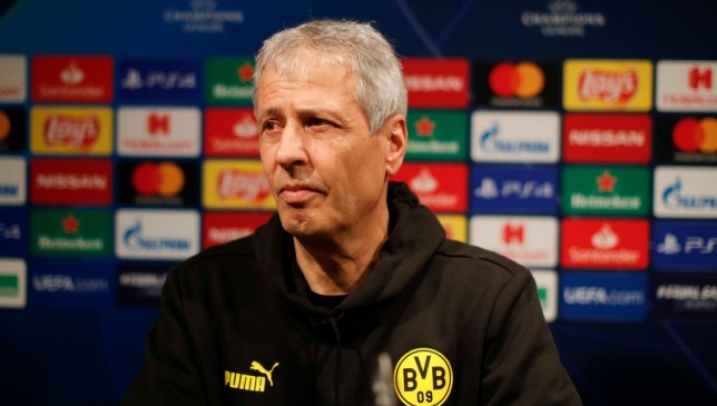 لوسيان-فافر-يفند-شائعات-تدريب-الأهلي-–-الدوري-المصري-–-عالم-الرياضة