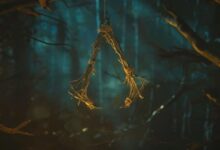 مخرج-لعبة-assassin’s-creed-hexe-يغادر-يوبيسوفت-–-العاب-–-يلا-لايف-–-يلا-لايف